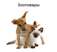 Зоотовары